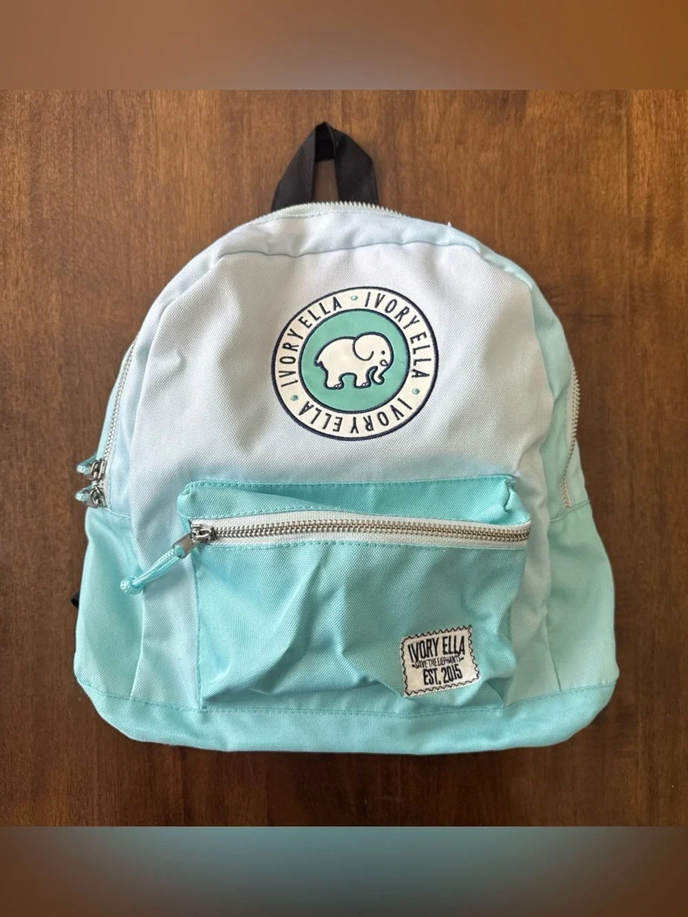 Ivory Ella Turquoise Blue Ombre Mini Backpack 12